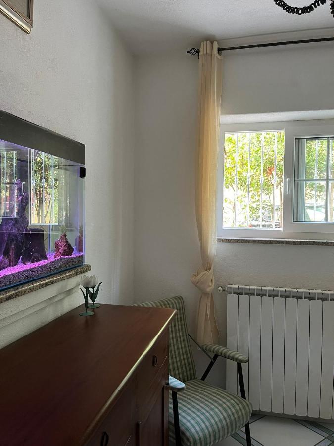 Casa Impagliazzo Bed and Breakfast Forio di Ischia Eksteriør billede